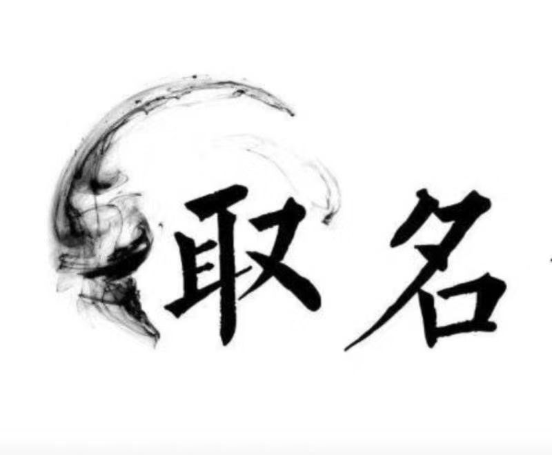  闵行宝宝取名 大师一对一人工起名